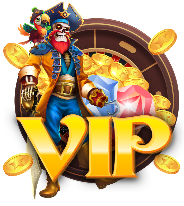 vip program